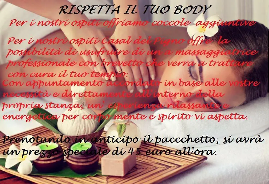 Hotel Casal Del Pigno Peschiera del Garda 0*,
